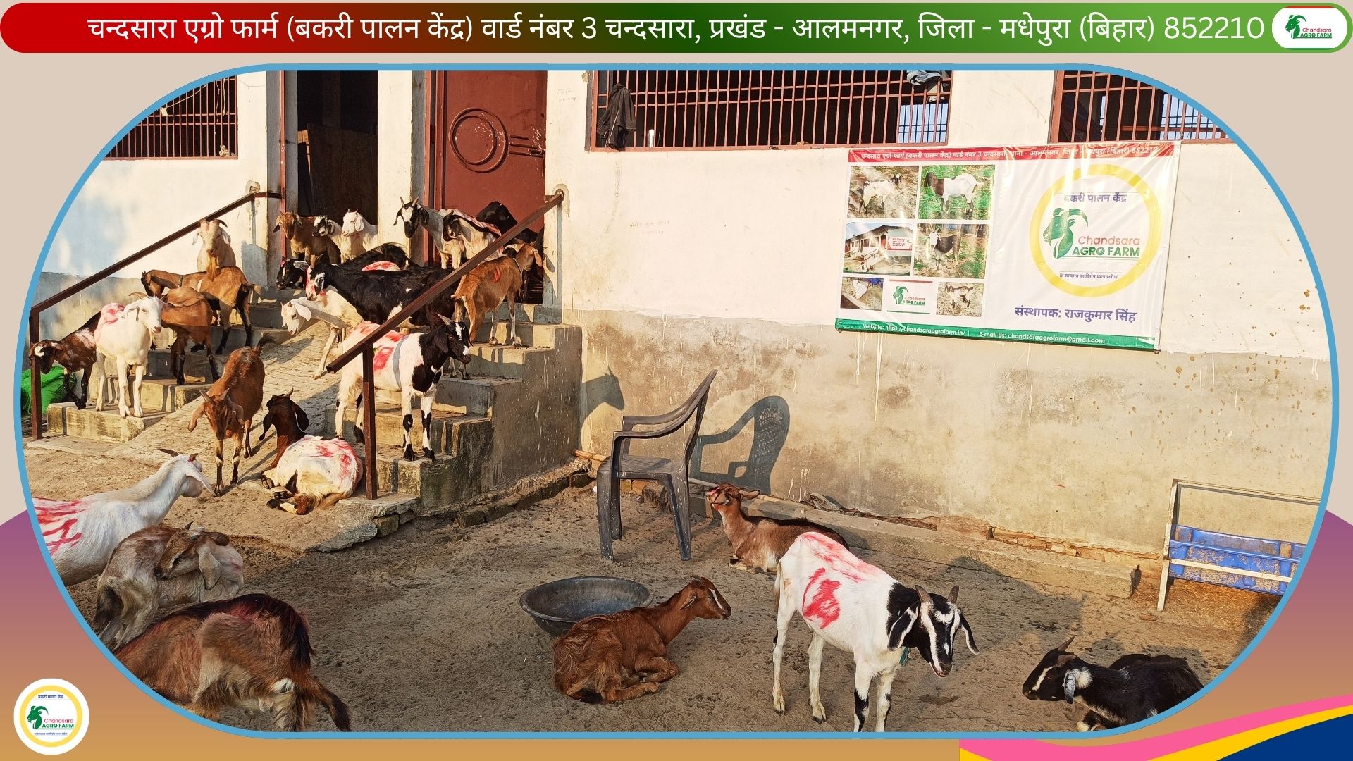 Chandsara Agro Farm (Bakri Palan) 10